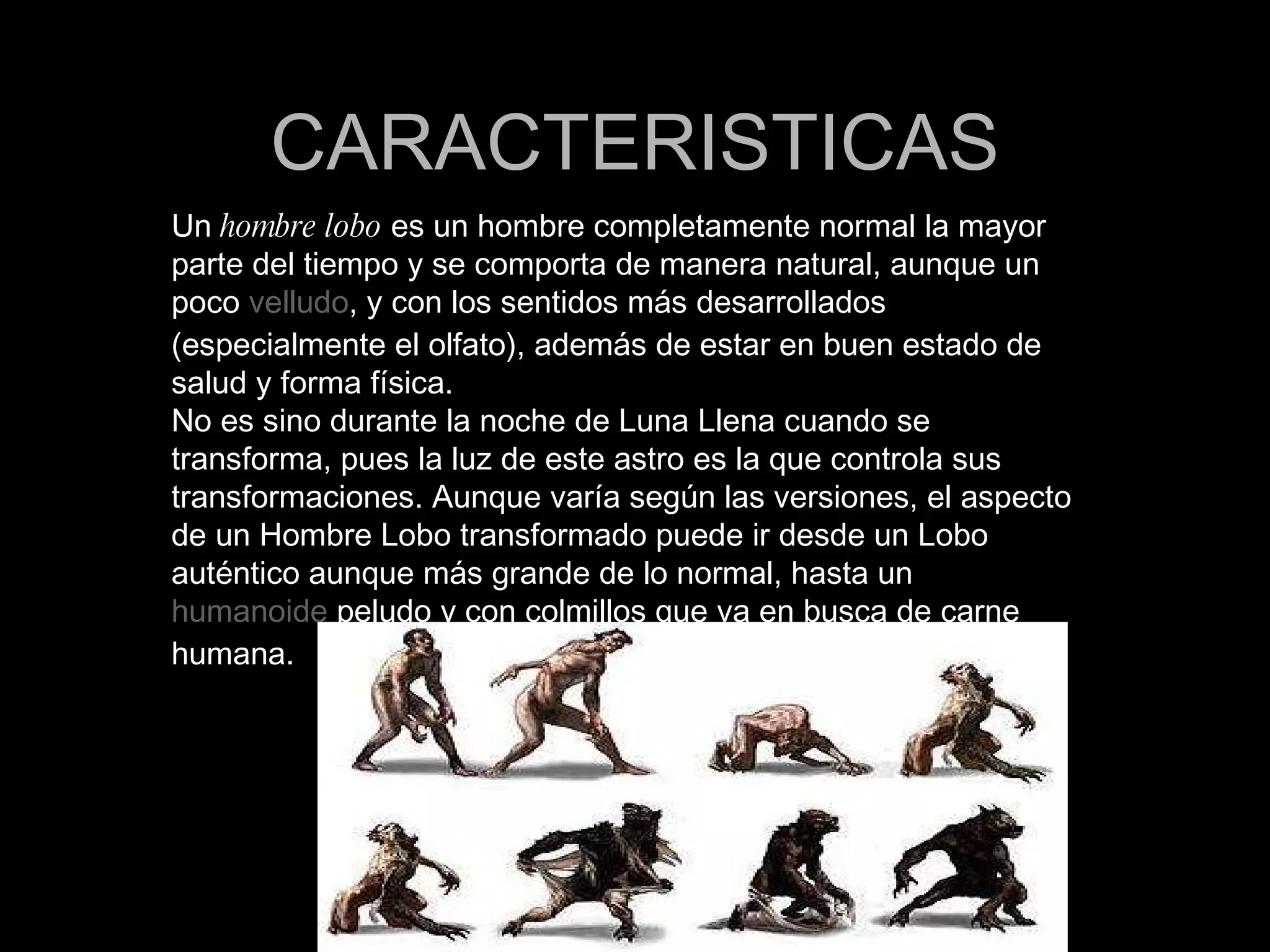 CARACTERISTICAS Un  hombre lobo  es un hombre completamente normal la mayor parte del tiempo y se comporta de manera natural, aunque un poco  velludo , y con los sentidos más desarrollados (especialmente el olfato), además de estar en buen estado de salud y forma física. No es sino durante la noche de Luna Llena cuando se transforma, pues la luz de este astro es la que controla sus transformaciones. Aunque varía según las versiones, el aspecto de un Hombre Lobo transformado puede ir desde un Lobo auténtico aunque más grande de lo normal, hasta un  humanoide  peludo y con colmillos que va en busca de carne humana. 
