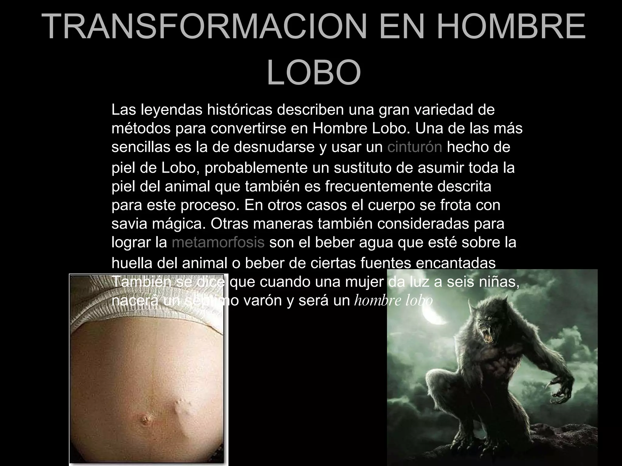 TRANSFORMACION EN HOMBRE LOBO Las leyendas históricas describen una gran variedad de métodos para convertirse en Hombre Lobo. Una de las más sencillas es la de desnudarse y usar un  cinturón  hecho de piel de Lobo, probablemente un sustituto de asumir toda la piel del animal que también es frecuentemente descrita para este proceso. En otros casos el cuerpo se frota con savia mágica. Otras maneras también consideradas para lograr la  metamorfosis  son el beber agua que esté sobre la huella del animal o beber de ciertas fuentes encantadas También se dice que cuando una mujer da luz a seis niñas, nacerá un séptimo varón y será un  hombre lobo   