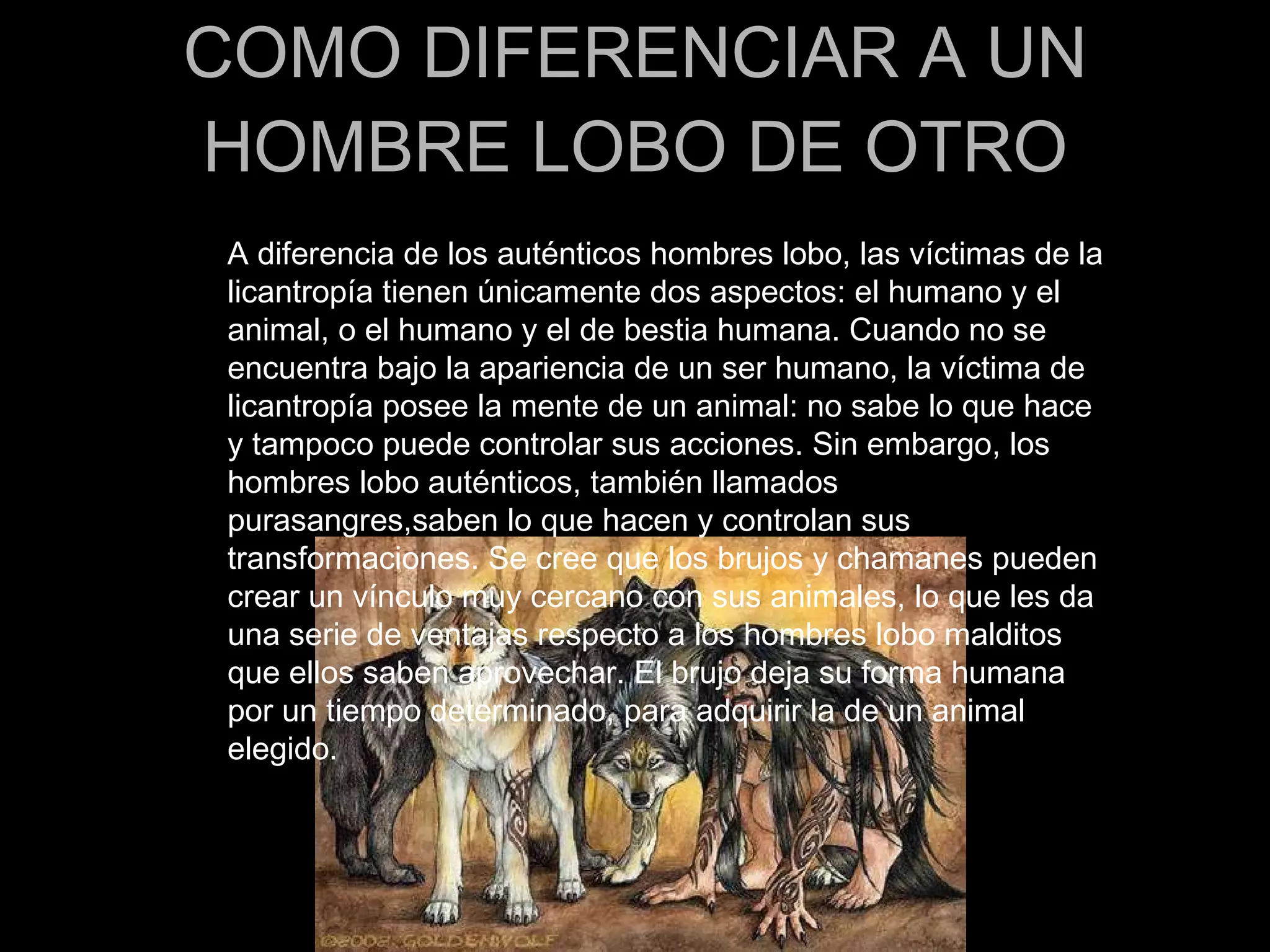 COMO DIFERENCIAR A UN HOMBRE LOBO DE OTRO A diferencia de los auténticos hombres lobo, las víctimas de la licantropía tienen únicamente dos aspectos: el humano y el animal, o el humano y el de bestia humana. Cuando no se encuentra bajo la apariencia de un ser humano, la víctima de licantropía posee la mente de un animal: no sabe lo que hace y tampoco puede controlar sus acciones. Sin embargo, los hombres lobo auténticos, también llamados purasangres,saben lo que hacen y controlan sus transformaciones. Se cree que los brujos y chamanes pueden crear un vínculo muy cercano con sus animales, lo que les da una serie de ventajas respecto a los hombres lobo malditos que ellos saben aprovechar. El brujo deja su forma humana por un tiempo determinado, para adquirir la de un animal elegido.  