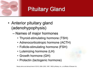 Pituitary Gland

• Anterior pituitary gland
  (adenohypophysis)
  – Names of major hormones
     •    Thyroid-stimulating hormone (TSH)
     •    Adrenocorticotropic hormone (ACTH)
     •    Follicle-stimulating hormone (FSH)
     •    Luteinizing hormone (LH)
     •    Growth hormone (GH)
     •    Prolactin (lactogenic hormone)
     Mosby items and derived items © 2010, 2006, 2002, 1997, 1992 by Mosby, Inc., an affiliate of Elsevier Inc.
 