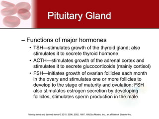 Pituitary Gland

– Functions of major hormones
  • TSH—stimulates growth of the thyroid gland; also
    stimulates it to secrete thyroid hormone
  • ACTH—stimulates growth of the adrenal cortex and
    stimulates it to secrete glucocorticoids (mainly cortisol)
  • FSH—initiates growth of ovarian follicles each month
    in the ovary and stimulates one or more follicles to
    develop to the stage of maturity and ovulation; FSH
    also stimulates estrogen secretion by developing
    follicles; stimulates sperm production in the male


  Mosby items and derived items © 2010, 2006, 2002, 1997, 1992 by Mosby, Inc., an affiliate of Elsevier Inc.
 