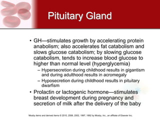 Pituitary Gland

• GH—stimulates growth by accelerating protein
  anabolism; also accelerates fat catabolism and
  slows glucose catabolism; by slowing glucose
  catabolism, tends to increase blood glucose to
  higher than normal level (hyperglycemia)
         – Hypersecretion during childhood results in gigantism
           and during adulthood results in acromegaly
         – Hyposecretion during childhood results in pituitary
           dwarfism
• Prolactin or lactogenic hormone—stimulates
  breast development during pregnancy and
  secretion of milk after the delivery of the baby

Mosby items and derived items © 2010, 2006, 2002, 1997, 1992 by Mosby, Inc., an affiliate of Elsevier Inc.
 