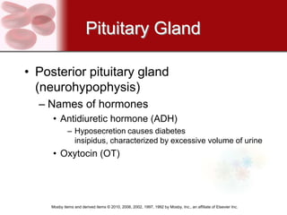 Pituitary Gland

• Posterior pituitary gland
  (neurohypophysis)
  – Names of hormones
     • Antidiuretic hormone (ADH)
              – Hyposecretion causes diabetes
                insipidus, characterized by excessive volume of urine
     • Oxytocin (OT)




     Mosby items and derived items © 2010, 2006, 2002, 1997, 1992 by Mosby, Inc., an affiliate of Elsevier Inc.
 