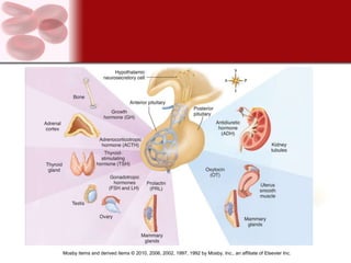 Mosby items and derived items © 2010, 2006, 2002, 1997, 1992 by Mosby, Inc., an affiliate of Elsevier Inc.
 