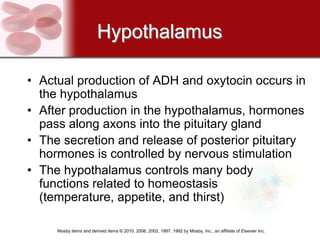 Hypothalamus

• Actual production of ADH and oxytocin occurs in
  the hypothalamus
• After production in the hypothalamus, hormones
  pass along axons into the pituitary gland
• The secretion and release of posterior pituitary
  hormones is controlled by nervous stimulation
• The hypothalamus controls many body
  functions related to homeostasis
  (temperature, appetite, and thirst)

     Mosby items and derived items © 2010, 2006, 2002, 1997, 1992 by Mosby, Inc., an affiliate of Elsevier Inc.
 