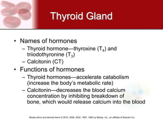 Thyroid Gland

• Names of hormones
  – Thyroid hormone—thyroxine (T4) and
    triiodothyronine (T3)
  – Calcitonin (CT)
• Functions of hormones
  – Thyroid hormones—accelerate catabolism
    (increase the body’s metabolic rate)
  – Calcitonin—decreases the blood calcium
    concentration by inhibiting breakdown of
    bone, which would release calcium into the blood

     Mosby items and derived items © 2010, 2006, 2002, 1997, 1992 by Mosby, Inc., an affiliate of Elsevier Inc.
 