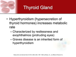 Thyroid Gland

• Hyperthyroidism (hypersecretion of
  thyroid hormones) increases metabolic
  rate
  – Characterized by restlessness and
    exophthalmos (protruding eyes)
  – Graves disease is an inherited form of
    hyperthyroidism


    Mosby items and derived items © 2010, 2006, 2002, 1997, 1992 by Mosby, Inc., an affiliate of Elsevier Inc.
 