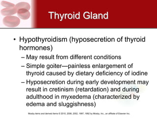 Thyroid Gland

• Hypothyroidism (hyposecretion of thyroid
  hormones)
  – May result from different conditions
  – Simple goiter—painless enlargement of
    thyroid caused by dietary deficiency of iodine
  – Hyposecretion during early development may
    result in cretinism (retardation) and during
    adulthood in myxedema (characterized by
    edema and sluggishness)
    Mosby items and derived items © 2010, 2006, 2002, 1997, 1992 by Mosby, Inc., an affiliate of Elsevier Inc.
 