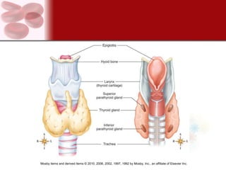 Mosby items and derived items © 2010, 2006, 2002, 1997, 1992 by Mosby, Inc., an affiliate of Elsevier Inc.
 