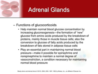 Adrenal Glands

– Functions of glucocorticoids
   • Help maintain normal blood glucose concentration by
     increasing gluconeogenesis—the formation of ―new‖
     glucose from amino acids produced by the breakdown of
     proteins, mainly those in muscle tissue cells; also the
     conversion to glucose of fatty acids produced by the
     breakdown of fats stored in adipose tissue cells
   • Play an essential part in maintaining normal blood
     pressure—make it possible for epinephrine and
     norepinephrine to maintain a normal degree of
     vasoconstriction, a condition necessary for maintaining
     normal blood pressure

   Mosby items and derived items © 2010, 2006, 2002, 1997, 1992 by Mosby, Inc., an affiliate of Elsevier Inc.
 
