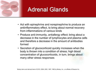 Adrenal Glands

• Act with epinephrine and norepinephrine to produce an
  antiinflammatory effect, to bring about normal recovery
  from inflammations of various kinds
• Produce anti-immunity, antiallergy effect; bring about a
  decrease in the number of lymphocytes and plasma cells
  and therefore a decrease in the amount of antibodies
  formed
• Secretion of glucocorticoid quickly increases when the
  body is thrown into a condition of stress; high blood
  concentration of glucocorticoids, in turn, brings about
  many other stress responses



Mosby items and derived items © 2010, 2006, 2002, 1997, 1992 by Mosby, Inc., an affiliate of Elsevier Inc.
 