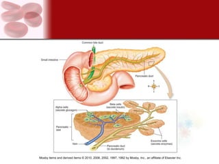 Mosby items and derived items © 2010, 2006, 2002, 1997, 1992 by Mosby, Inc., an affiliate of Elsevier Inc.
 