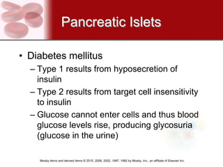 Pancreatic Islets

• Diabetes mellitus
  – Type 1 results from hyposecretion of
    insulin
  – Type 2 results from target cell insensitivity
    to insulin
  – Glucose cannot enter cells and thus blood
    glucose levels rise, producing glycosuria
    (glucose in the urine)

    Mosby items and derived items © 2010, 2006, 2002, 1997, 1992 by Mosby, Inc., an affiliate of Elsevier Inc.
 