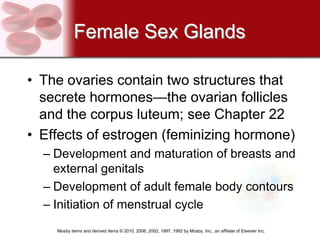 Female Sex Glands

• The ovaries contain two structures that
  secrete hormones—the ovarian follicles
  and the corpus luteum; see Chapter 22
• Effects of estrogen (feminizing hormone)
  – Development and maturation of breasts and
    external genitals
  – Development of adult female body contours
  – Initiation of menstrual cycle
    Mosby items and derived items © 2010, 2006, 2002, 1997, 1992 by Mosby, Inc., an affiliate of Elsevier Inc.
 