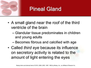 Pineal Gland

• A small gland near the roof of the third
  ventricle of the brain
  – Glandular tissue predominates in children
    and young adults
  – Becomes fibrous and calcified with age
• Called third eye because its influence
  on secretory activity is related to the
  amount of light entering the eyes
     Mosby items and derived items © 2010, 2006, 2002, 1997, 1992 by Mosby, Inc., an affiliate of Elsevier Inc.
 
