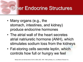 Other Endocrine Structures

• Many organs (e.g., the
  stomach, intestines, and kidney)
  produce endocrine hormones
• The atrial wall of the heart secretes
  atrial natriuretic hormone (ANH), which
  stimulates sodium loss from the kidneys
• Fat-storing cells secrete leptin, which
  controls how full or hungry we feel
    Mosby items and derived items © 2010, 2006, 2002, 1997, 1992 by Mosby, Inc., an affiliate of Elsevier Inc.
 