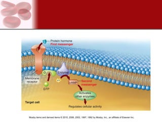 Mosby items and derived items © 2010, 2006, 2002, 1997, 1992 by Mosby, Inc., an affiliate of Elsevier Inc.
 