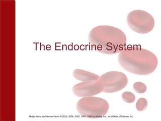 The Endocrine System




Mosby items and derived items © 2010, 2006, 2002, 1997, 1992 by Mosby, Inc., an affiliate of Elsevier Inc.
 