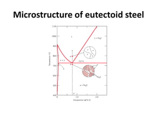 Microstructure of eutectoid steel

 