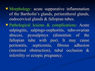 • Lichen Sclerosus et Atrophicus: gray, parchment-like areas, of
  thin atrophic epithelium + sube-pithelial fibrosis+ mon...