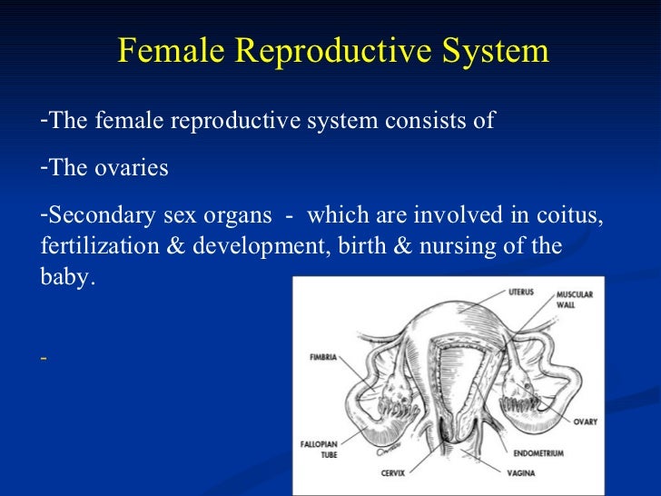 System System