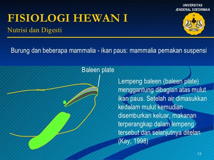  Fisiologi  Hewan 