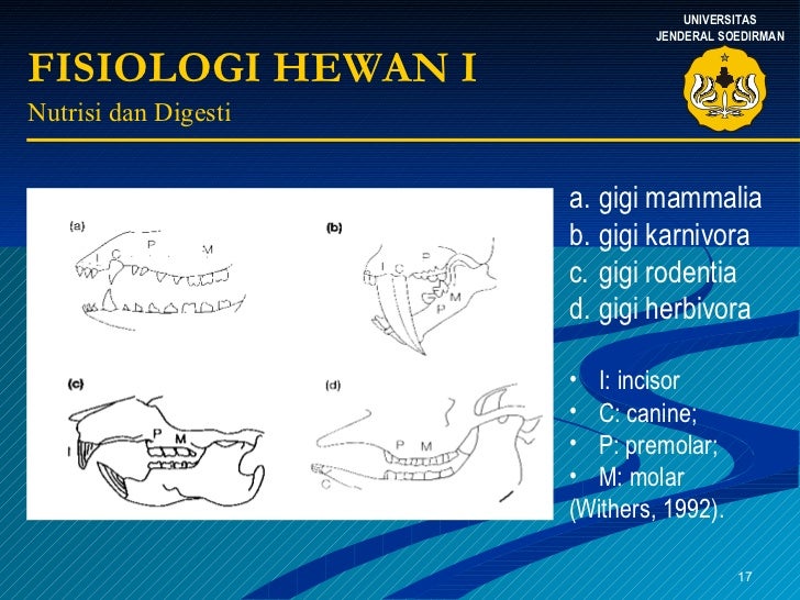  Fisiologi Hewan 