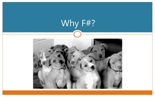 Why F#?
 