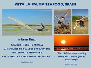 VETA LA PALMA SEAFOOD, SPAIN




            “a farm that...
       1. DOESN’T FEED ITS ANIMALS
  2. MEASURES ITS SUCCESS BASED ON THE
        HEALTH OF ITS PREDATORS               "Fish? I didn't know anything
3. IS LITERALLY A WATER PURIFICATION PLANT”    about ﬁsh. I'm an expert in
                                                      relationships"
                DAN BARBER, CHEF
                                                      MIGUEL, BIOLOGIST
 
