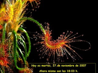 Hoy es  jueves, 28 de mayo de 2009 Ahora mismo son las  17:58  h. 