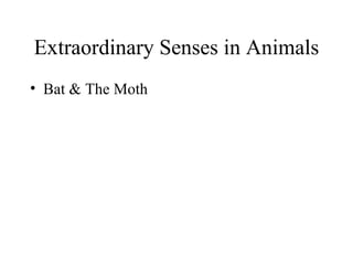 Extraordinary Senses in Animals
• Bat & The Moth
 