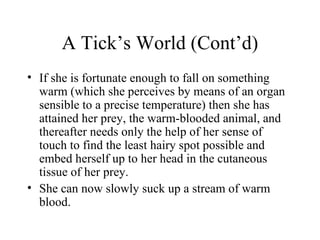 A Tick’s World (Cont’d)
• If she is fortunate enough to fall on something
  warm (which she perceives by means of an organ
  sensible to a precise temperature) then she has
  attained her prey, the warm-blooded animal, and
  thereafter needs only the help of her sense of
  touch to find the least hairy spot possible and
  embed herself up to her head in the cutaneous
  tissue of her prey.
• She can now slowly suck up a stream of warm
  blood.
 