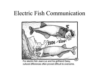 Electric Fish Communication
 