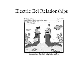 Electric Eel Relationships
 