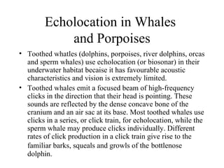 Echolocation in Whales
             and Porpoises
• Toothed whatles (dolphins, porpoises, river dolphins, orcas
  and sperm whales) use echolocation (or biosonar) in their
  underwater habitat becaise it has favourable acoustic
  characteristics and vision is extremely limited.
• Toothed whales emit a focused beam of high-frequency
  clicks in the direction that their head is pointing. These
  sounds are reflected by the dense concave bone of the
  cranium and an air sac at its base. Most toothed whales use
  clicks in a series, or click train, for echolocation, while the
  sperm whale may produce clicks individually. Different
  rates of click production in a click train give rise to the
  familiar barks, squeals and growls of the bottlenose
  dolphin.
 