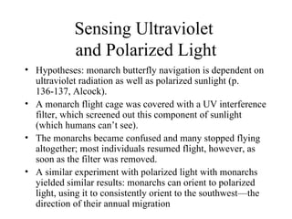 Sensing Ultraviolet
            and Polarized Light
• Hypotheses: monarch butterfly navigation is dependent on
  ultraviolet radiation as well as polarized sunlight (p.
  136-137, Alcock).
• A monarch flight cage was covered with a UV interference
  filter, which screened out this component of sunlight
  (which humans can’t see).
• The monarchs became confused and many stopped flying
  altogether; most individuals resumed flight, however, as
  soon as the filter was removed.
• A similar experiment with polarized light with monarchs
  yielded similar results: monarchs can orient to polarized
  light, using it to consistently orient to the southwest—the
  direction of their annual migration
 
