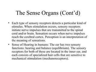 The Sense Organs (Cont’d)
• Each type of sensory receptors detects a particular kind of
  stimulus. When stimulation occurs, sensory receptors
  initiate nerve impulses that are transmitted to the spinal
  cord and/or brain. Sensation occurs when nerve impulses
  reach the cerebral cortex. Perception is an interpretation of
  the meaning of sensations.
• Sense of Hearing in humans: The ear has two sensory
  functions: hearing and balance (equilibrium). The sensory
  receptors for both of these are located in the inner ear, and
  each consists of specialized hair cells that are sensitive to
  mechanical stimulation (mechanoreceptors).
 