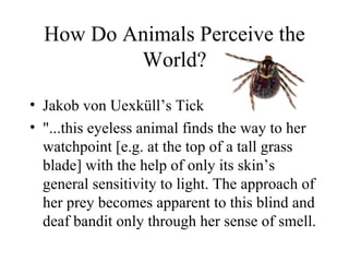 How Do Animals Perceive the
          World?

• Jakob von Uexküll’s Tick
• "...this eyeless animal finds the way to her
  watchpoint [e.g. at the top of a tall grass
  blade] with the help of only its skin’s
  general sensitivity to light. The approach of
  her prey becomes apparent to this blind and
  deaf bandit only through her sense of smell.
 