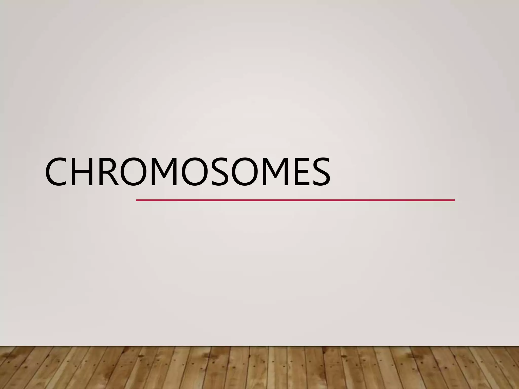 CHROMOSOMES
 
