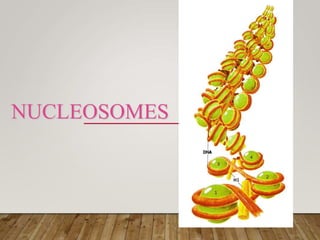 NUCLEOSOMES
 