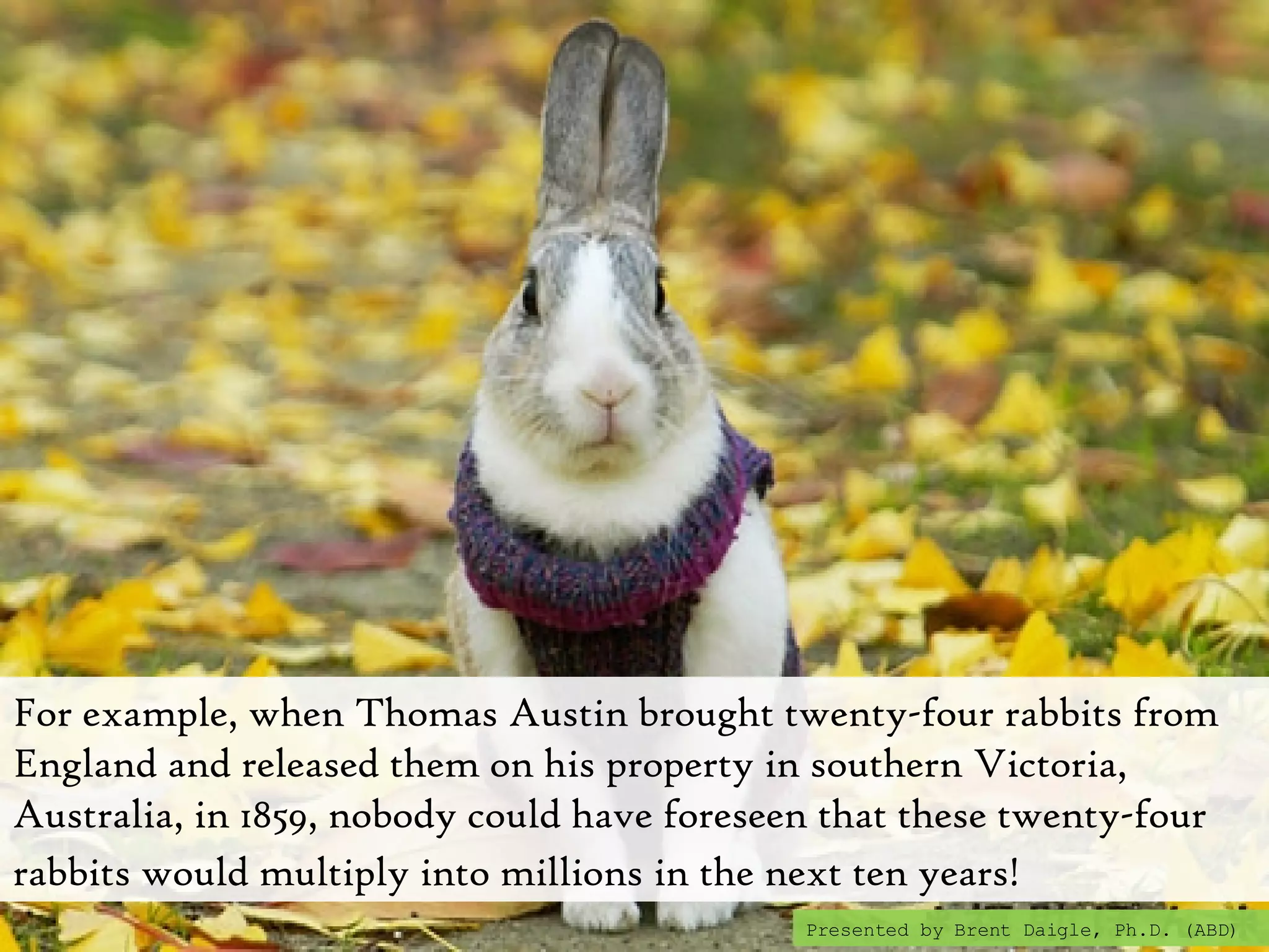 For example, when Thomas Austin brought twenty-four rabbits from England and released them on his property in southern Victoria, Australia, in 1859, nobody could have foreseen that these twenty-four rabbits would multiply into millions in the next ten years!   Presented by Brent Daigle, Ph.D. (ABD) 