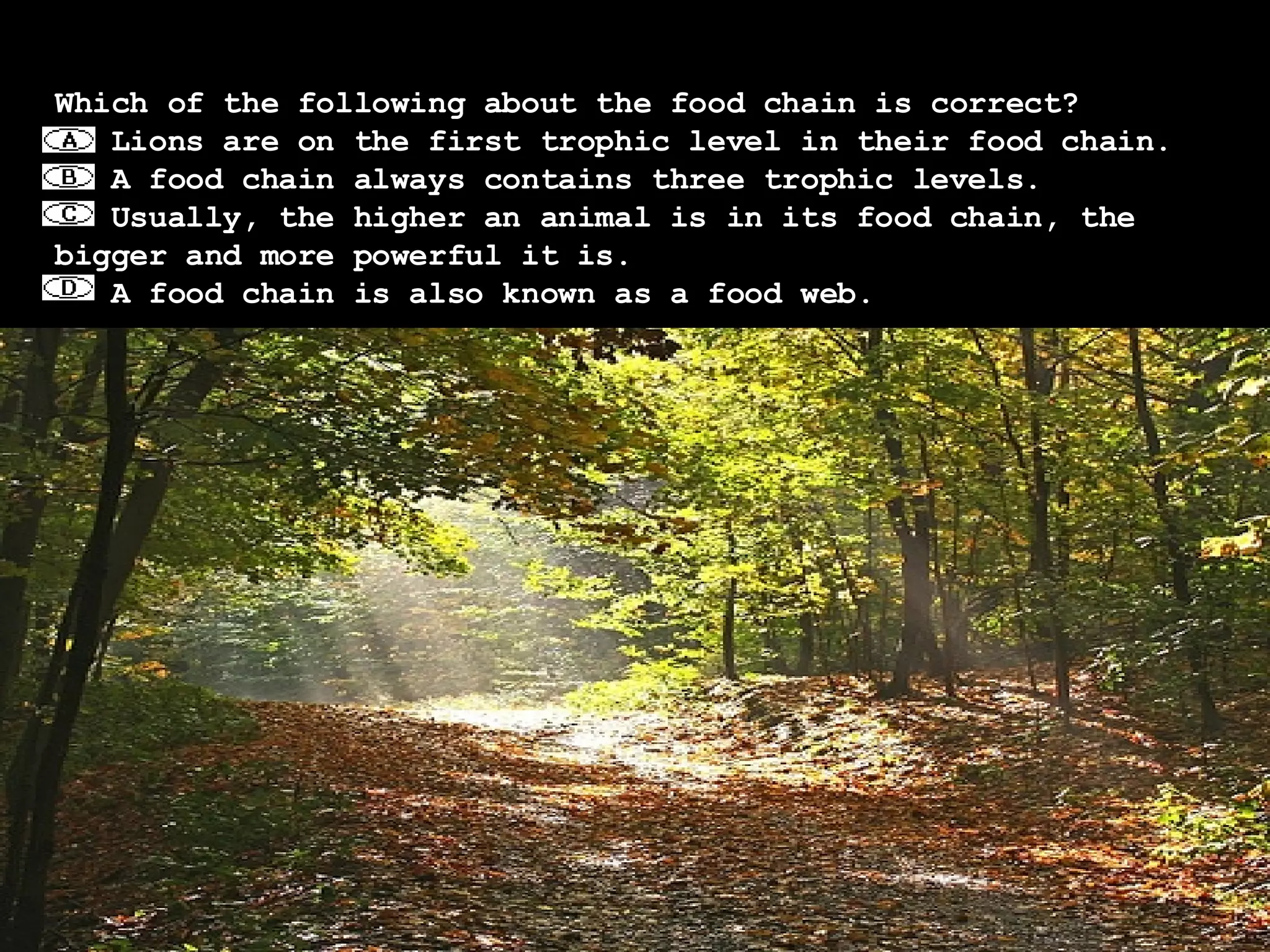 Which of the following about the food chain is correct?    Lions are on the first trophic level in their food chain.    A food chain always contains three trophic levels.    Usually, the higher an animal is in its food chain, the bigger and more powerful it is.    A food chain is also known as a food web. 