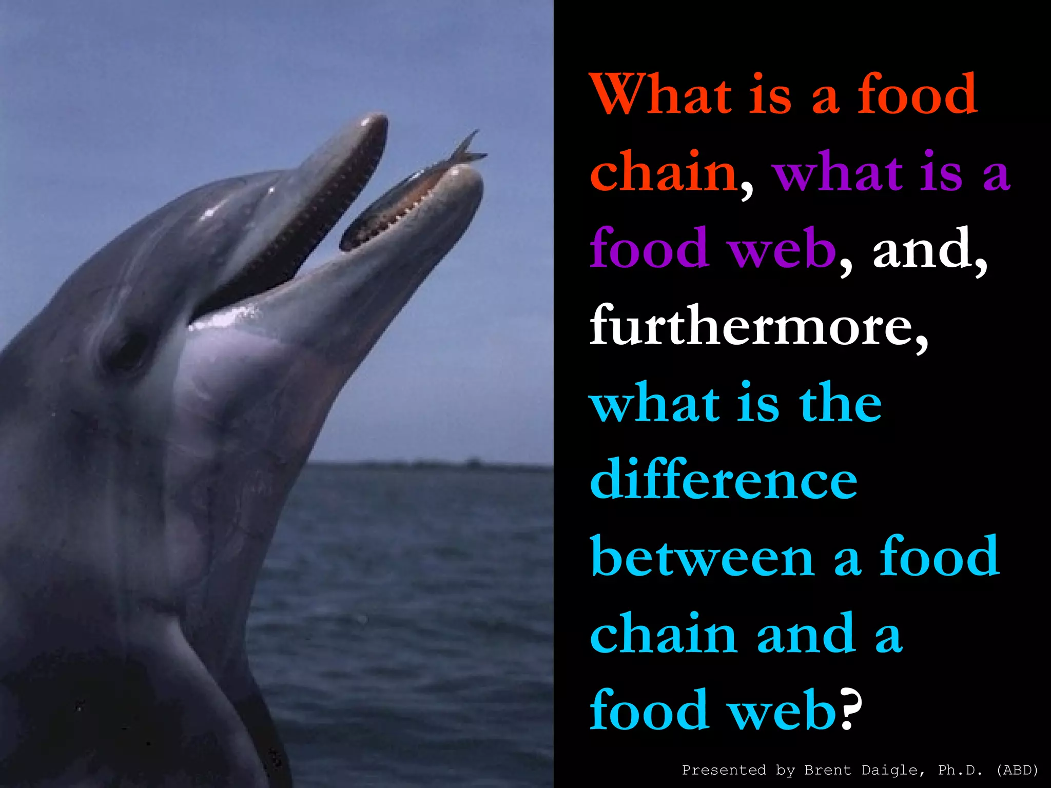 What is a food chain ,  what is a food web , and, furthermore,  what is the difference between a food chain and a food web ? Presented by Brent Daigle, Ph.D. (ABD) 