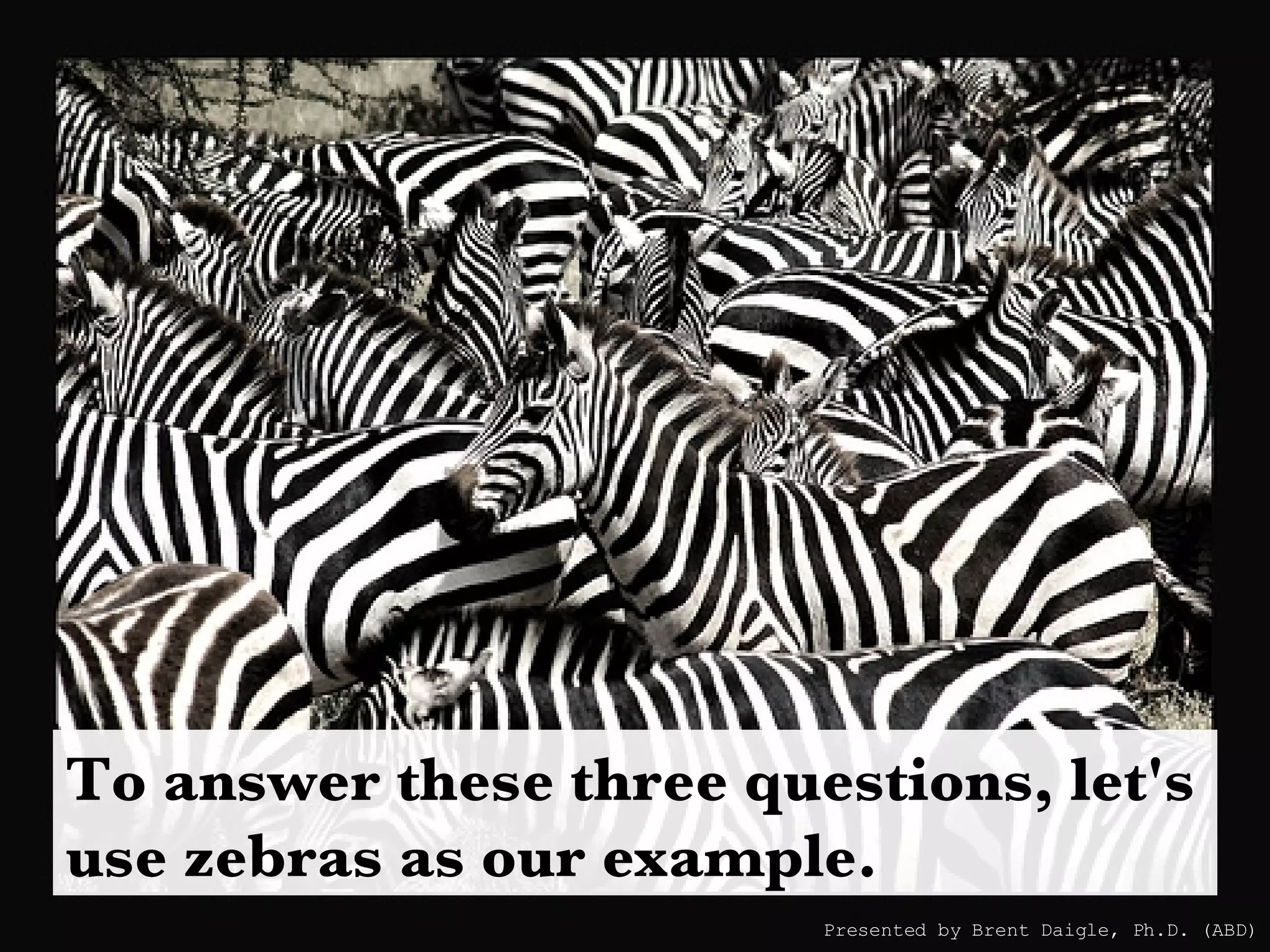 To answer these three questions, let's use zebras as our example. Presented by Brent Daigle, Ph.D. (ABD) 