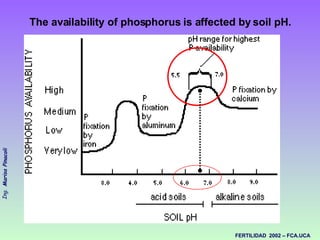 The availability of phosphorus is affected by soil pH.   