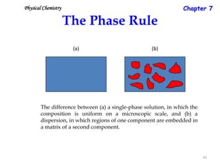 Chapter 7

Physical Chemistry

The Phase Rule
(a)

(b)

The difference between (a) a single-phase solution, in which the
composition is uniform on a microscopic scale, and (b) a
dispersion, in which regions of one component are embedded in
a matrix of a second component.

45

 