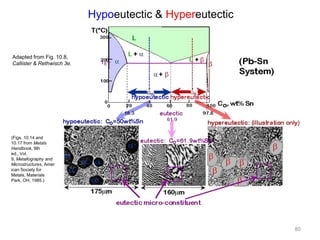 Hypoeutectic & Hypereutectic

Adapted from Fig. 10.8,
Callister & Rethwisch 3e.

(Figs. 10.14 and
10.17 from Metals
Handbook, 9th
ed., Vol.
9, Metallography and
Microstructures, Amer
ican Society for
Metals, Materials
Park, OH, 1985.)

80

 