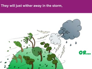 They will just wither away in the storm,Or…