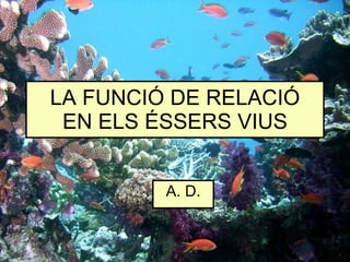 LA FUNCIÓ DE RELACIÓ EN ELS ÉSSERS VIUS A. D. 