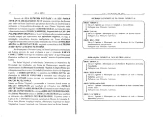 Exu o Grande Arcano - Rivas Neto